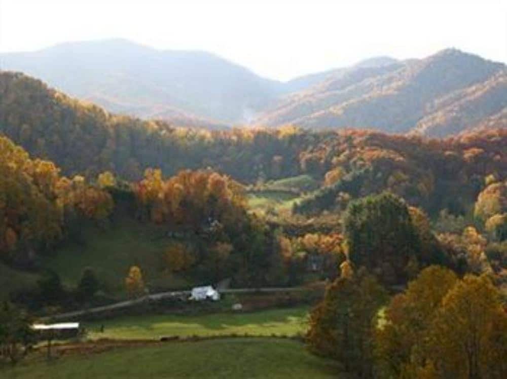Wildberry Lodge