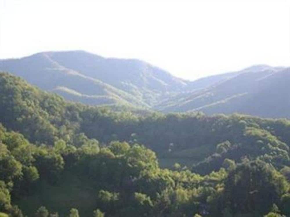 Wildberry Lodge