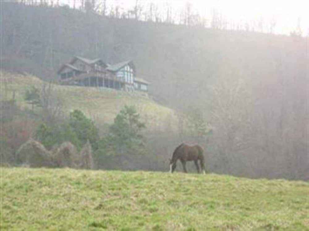 Wildberry Lodge