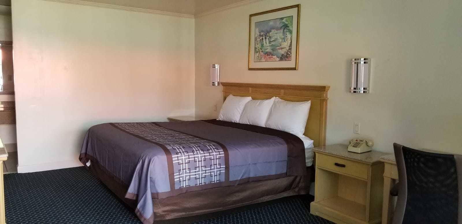 Budget Lodge