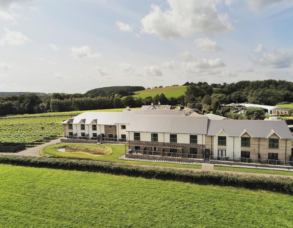 Llanerch Vineyard