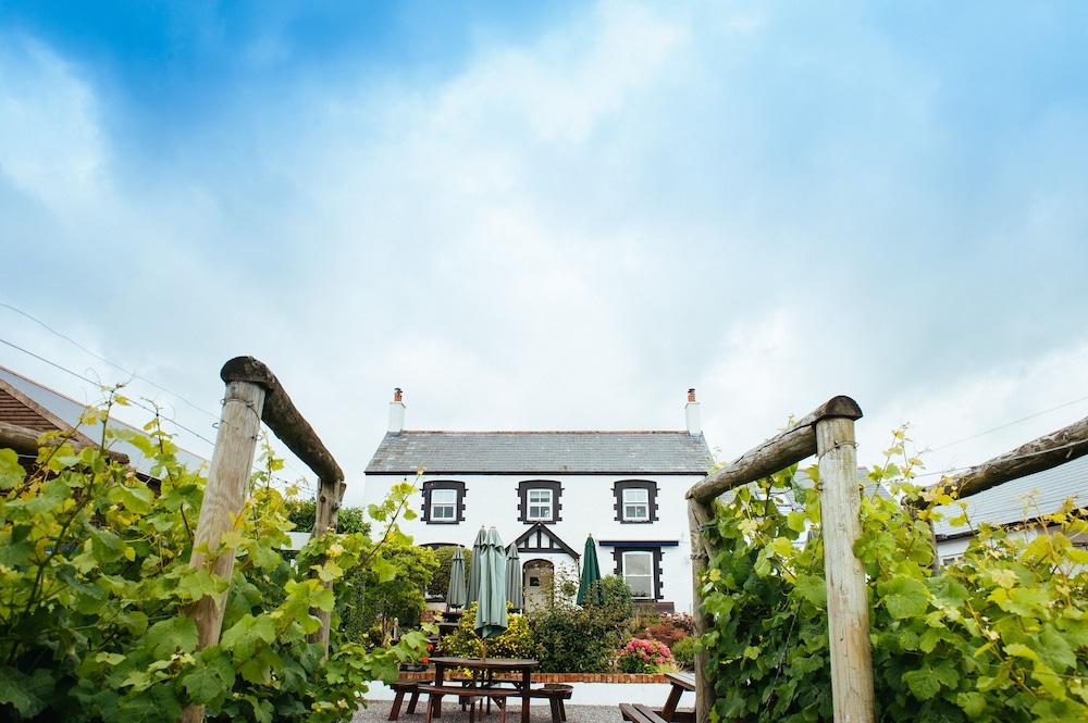 Llanerch Vineyard