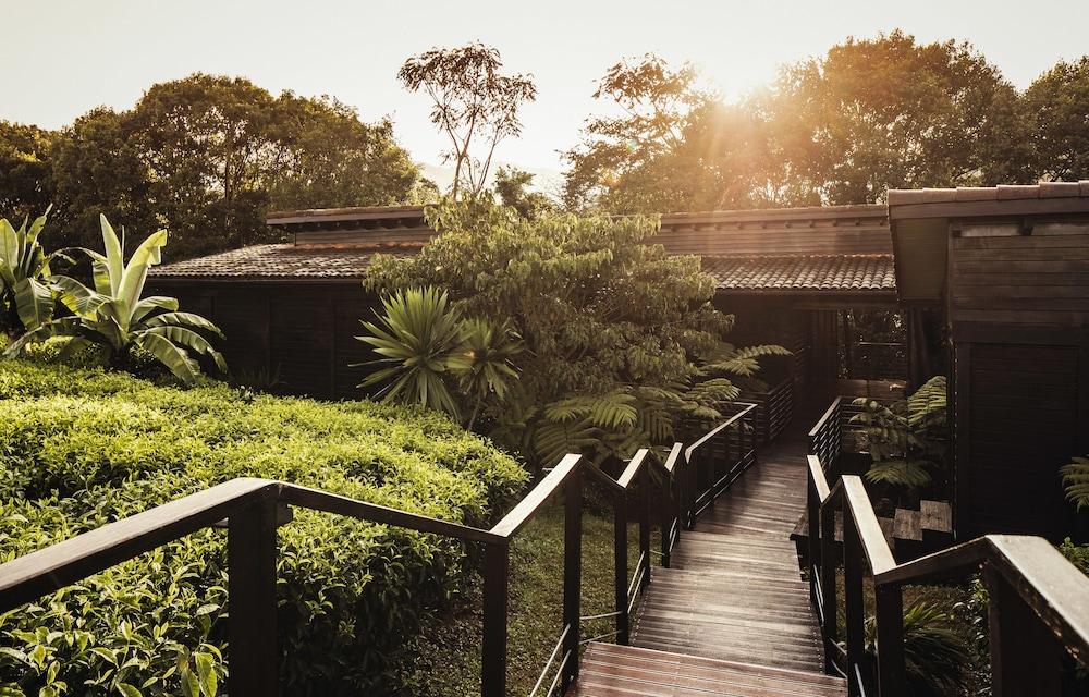 One&Only Nyungwe House