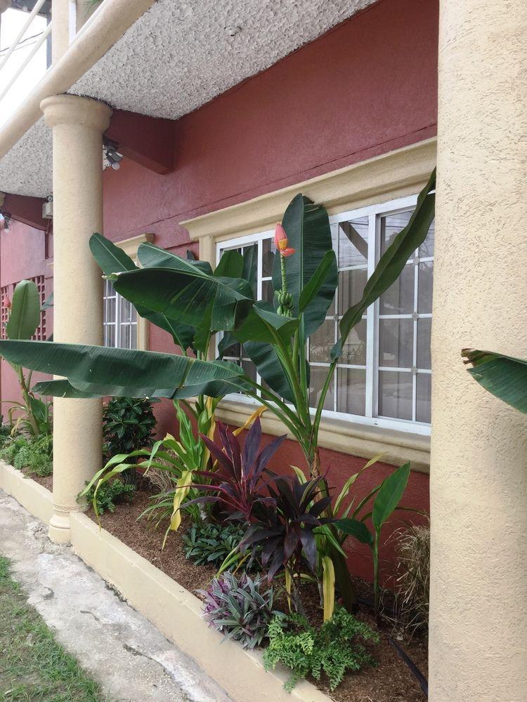 Innflight Suites