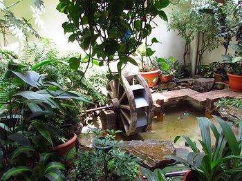 Villa Serena San Benito