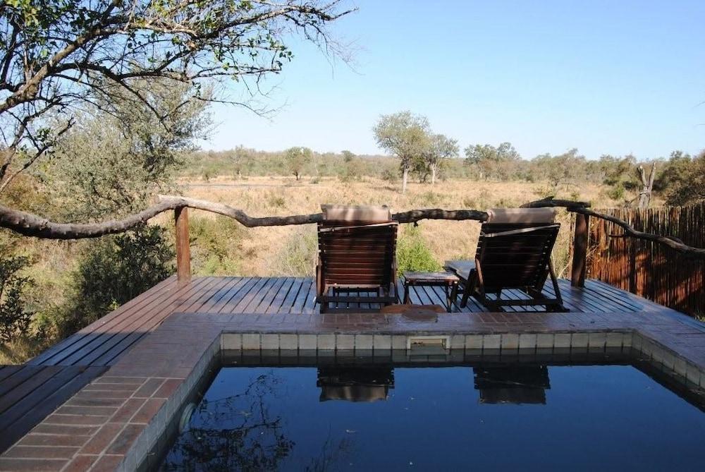 Thornybush Simbambilli Game Lodge