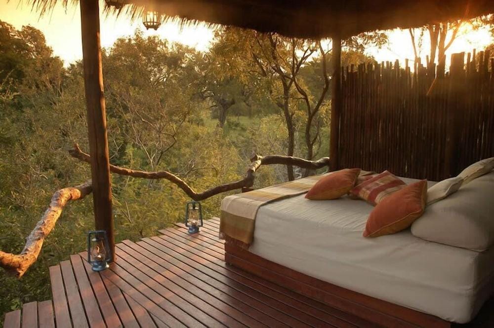 Thornybush Simbambilli Game Lodge