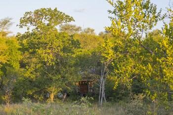 Chapungu Luxury Tented Camp