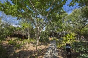 Chapungu Luxury Tented Camp