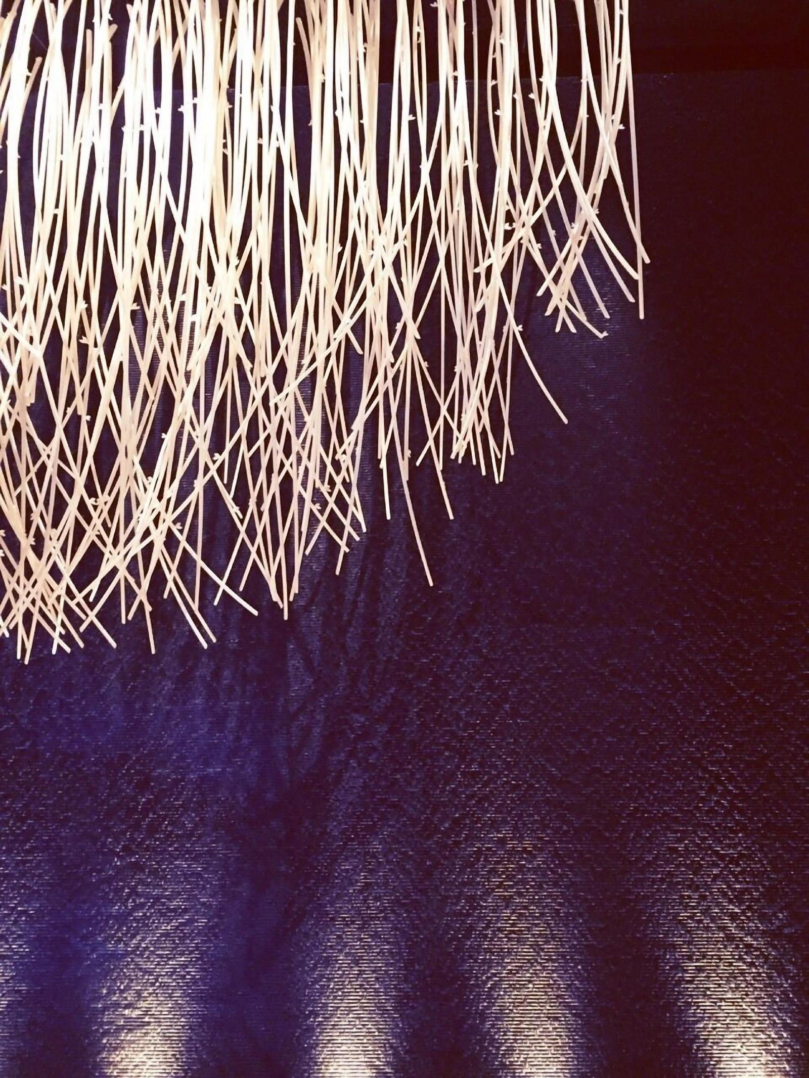 Treeart Hotel