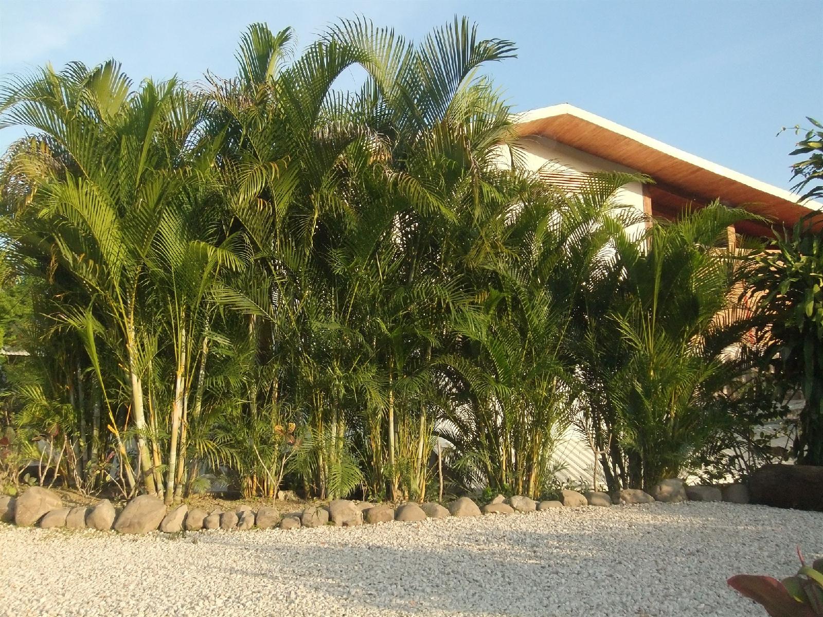 Vista Naranja Ocean View House