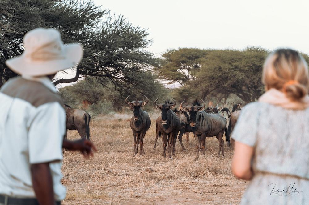 Lodge - Gabus Game Ranch