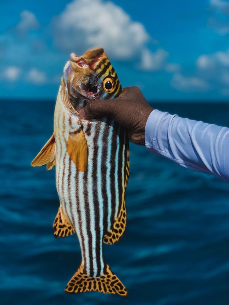 Perla Dhangethi