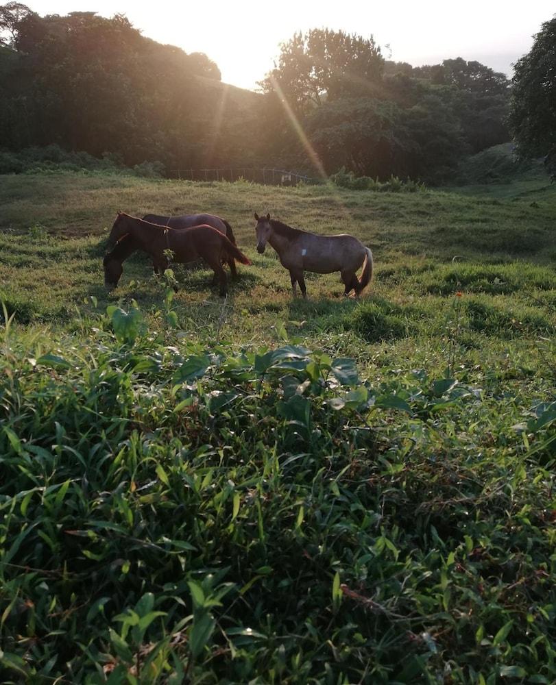 Rancho Juancho