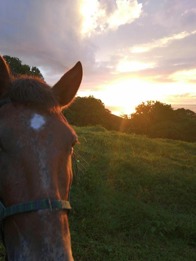 Rancho Juancho