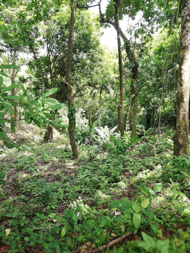 Rancho Juancho