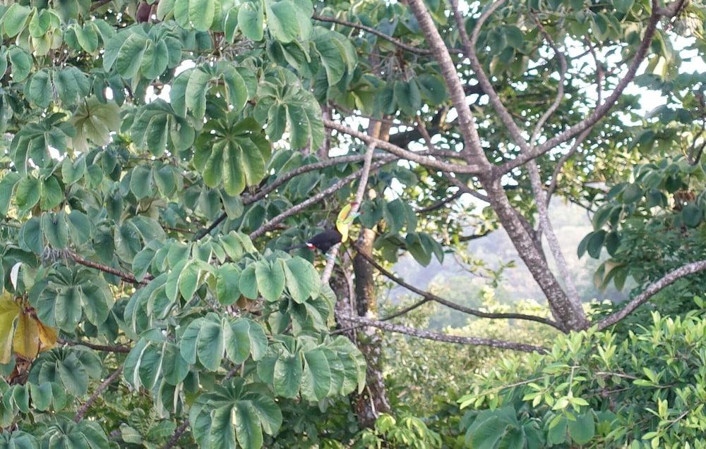 Rancho Juancho