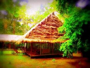 Amazon Eco Tours & Lodge
