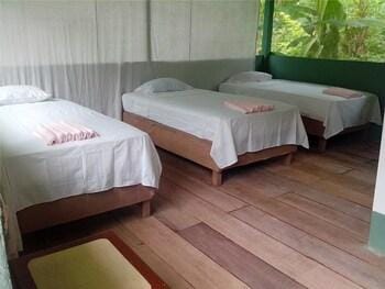 Amazon Eco Tours & Lodge