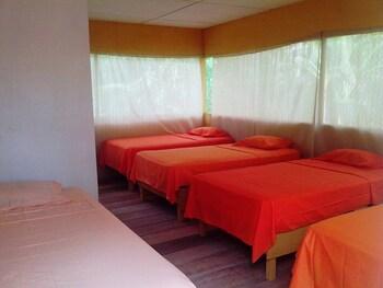 Amazon Eco Tours & Lodge