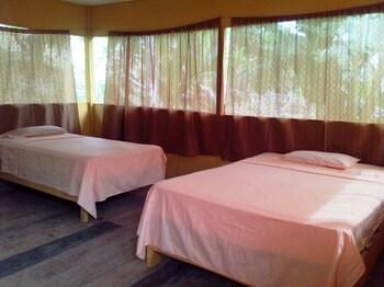 Amazon Eco Tours & Lodge
