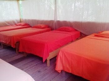 Amazon Eco Tours & Lodge