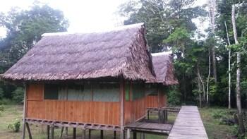Amazon Eco Tours & Lodge