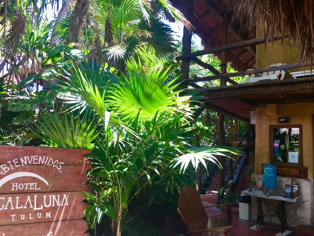 La Conchita