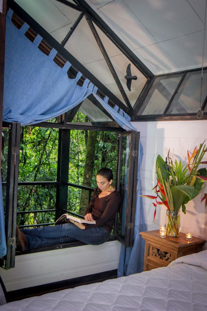 Tapirus Lodge