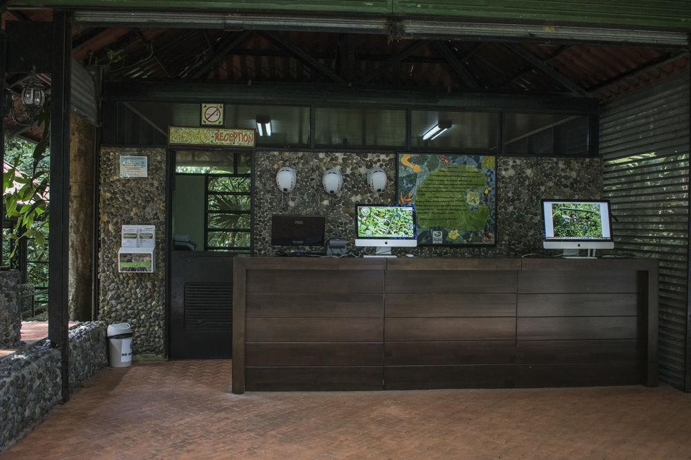 Tapirus Lodge