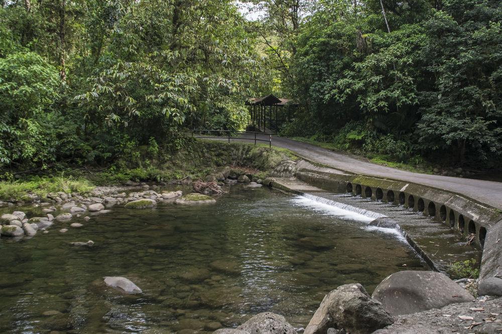 Tapirus Lodge