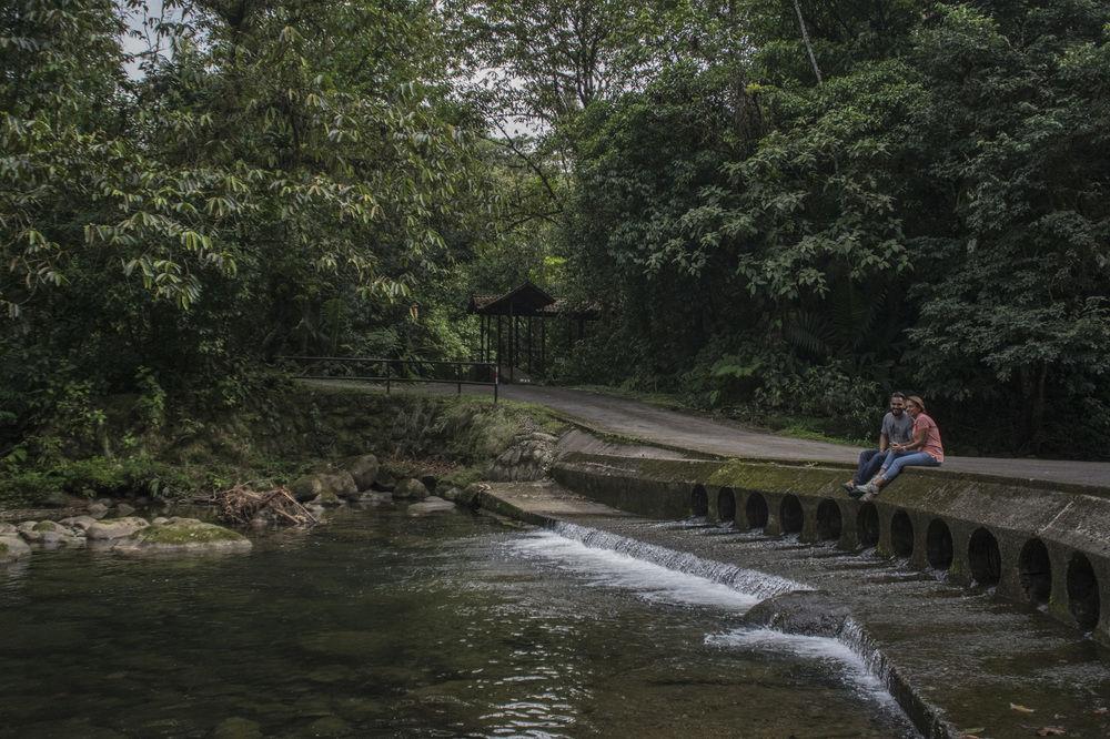 Tapirus Lodge