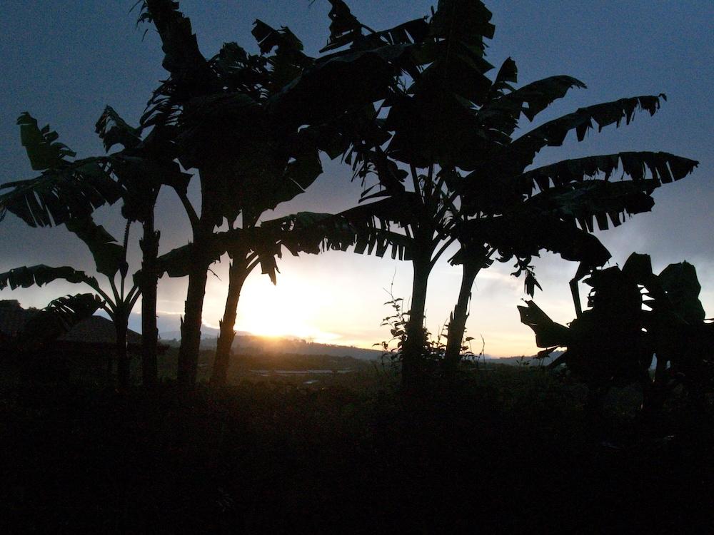 Casa Amanecer B & B