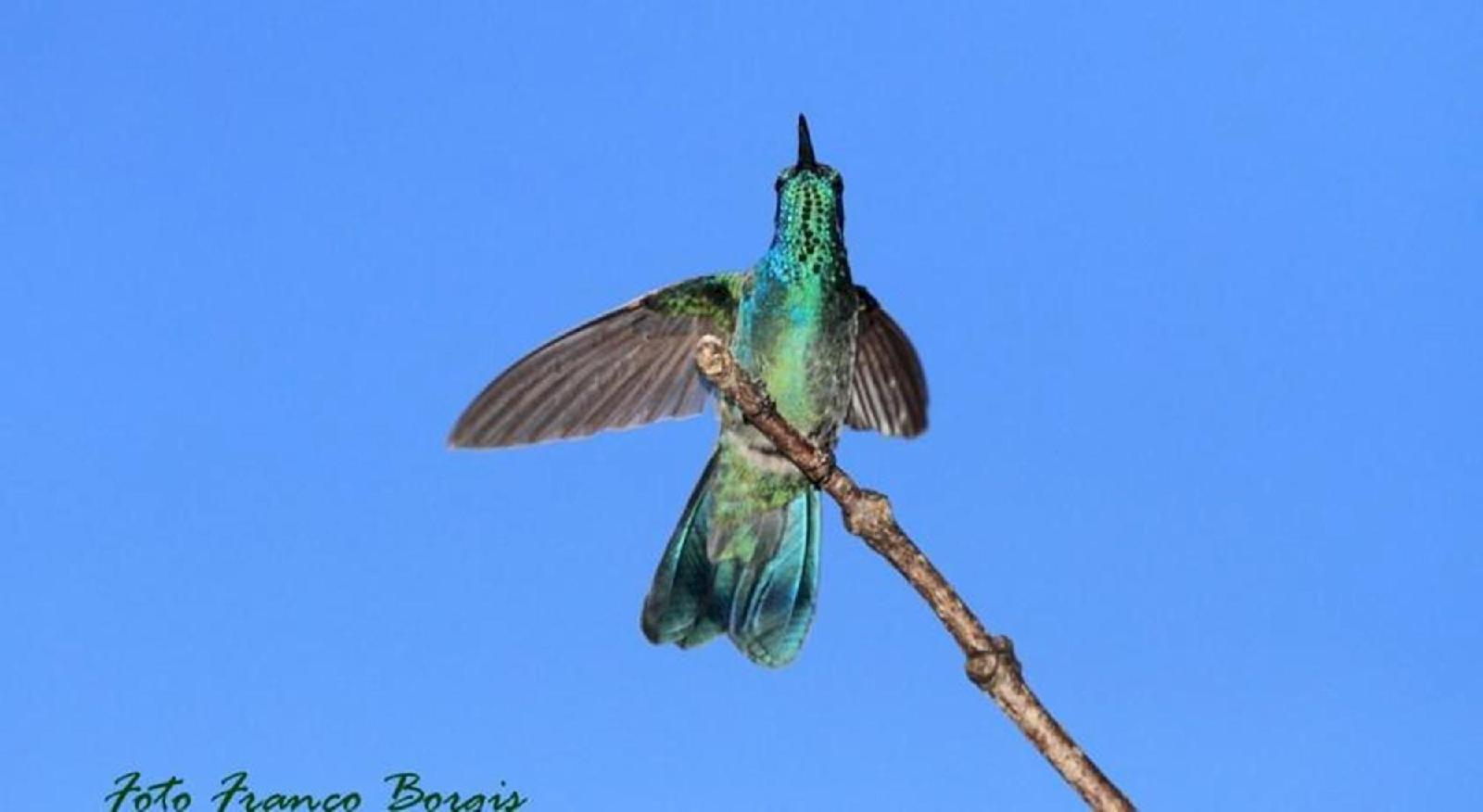 Mirador De Quetzales