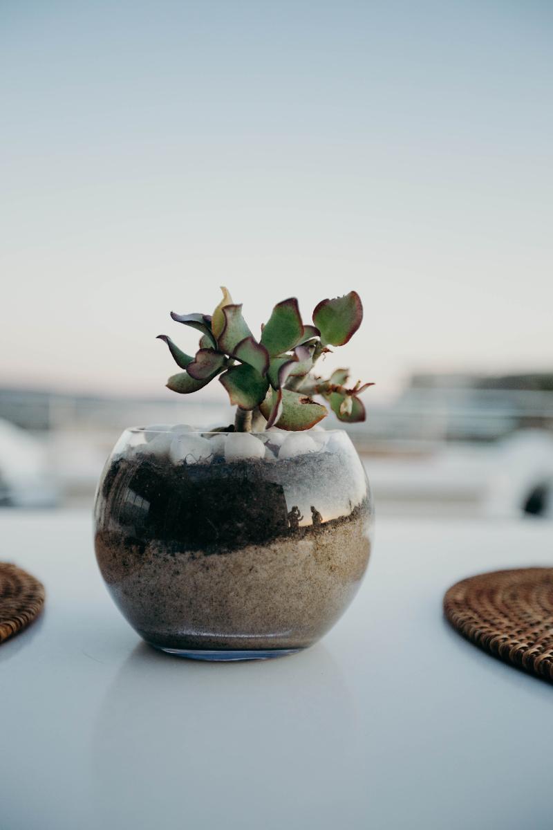 The Robberg Beach Lodge