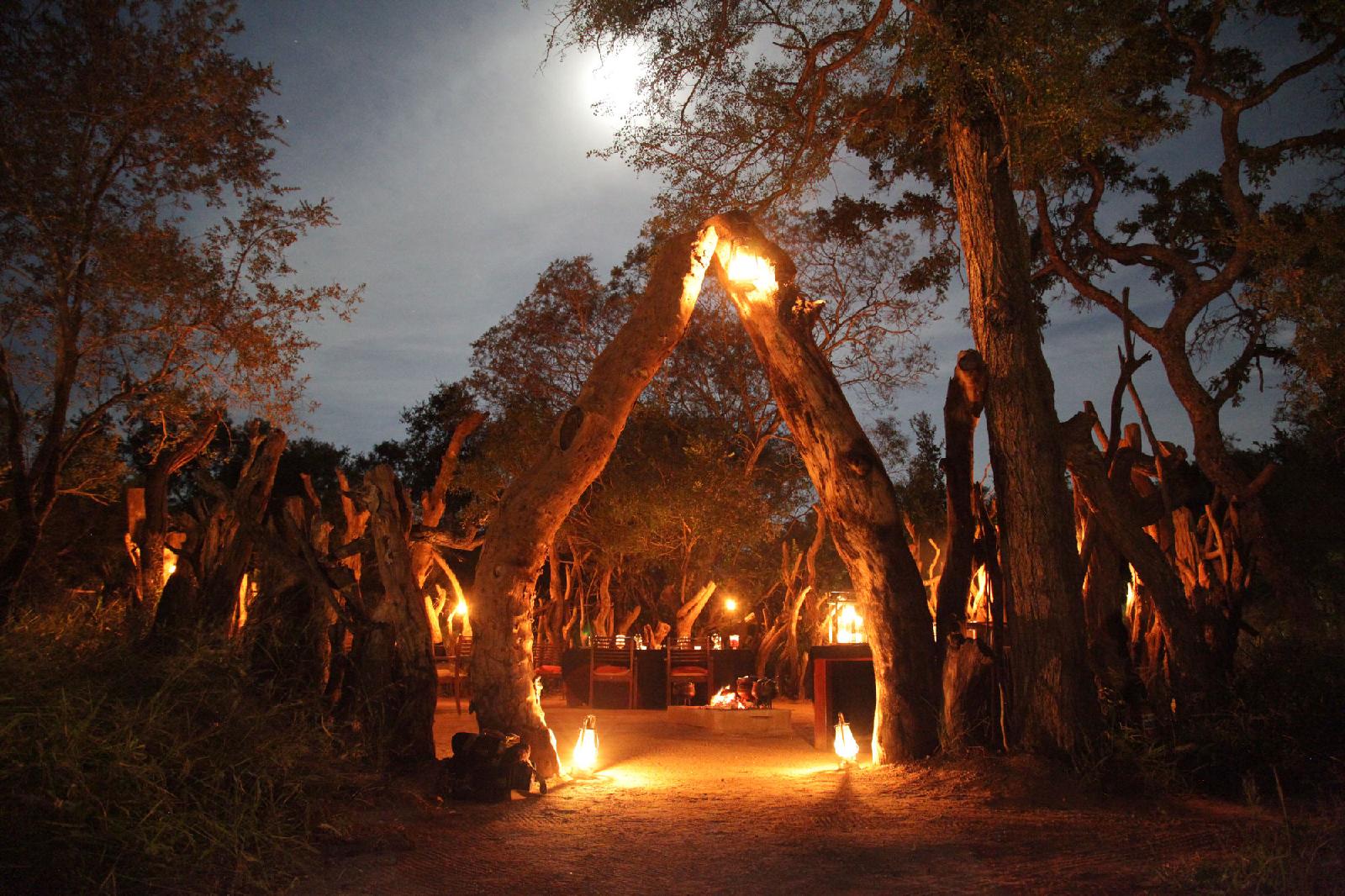 Tintswalo Safari Lodge & Manor House