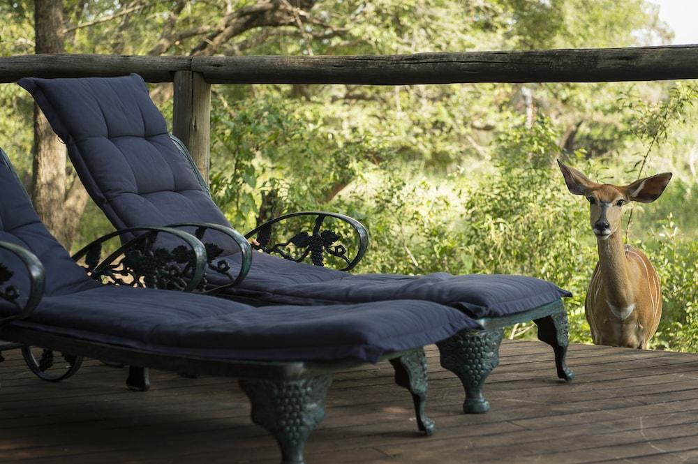 Tintswalo Safari Lodge & Manor House