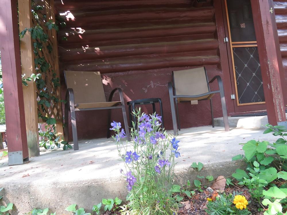 Tall Pines Inn