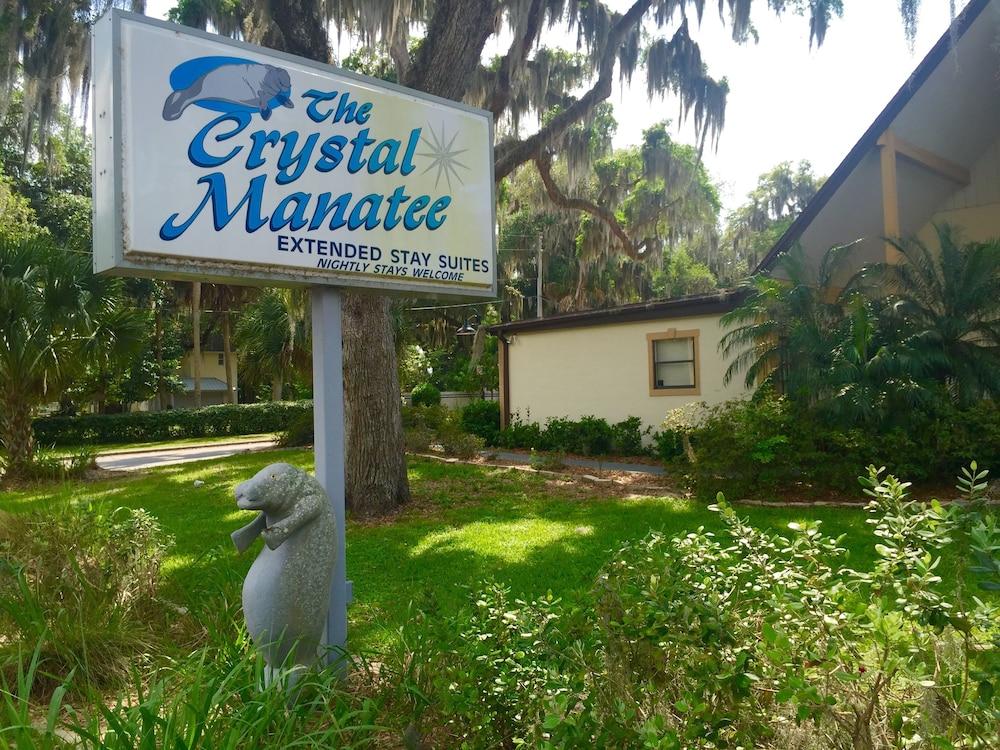 The Crystal Manatee