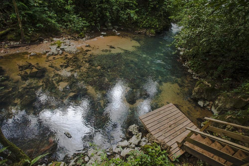 Jaguar Creek