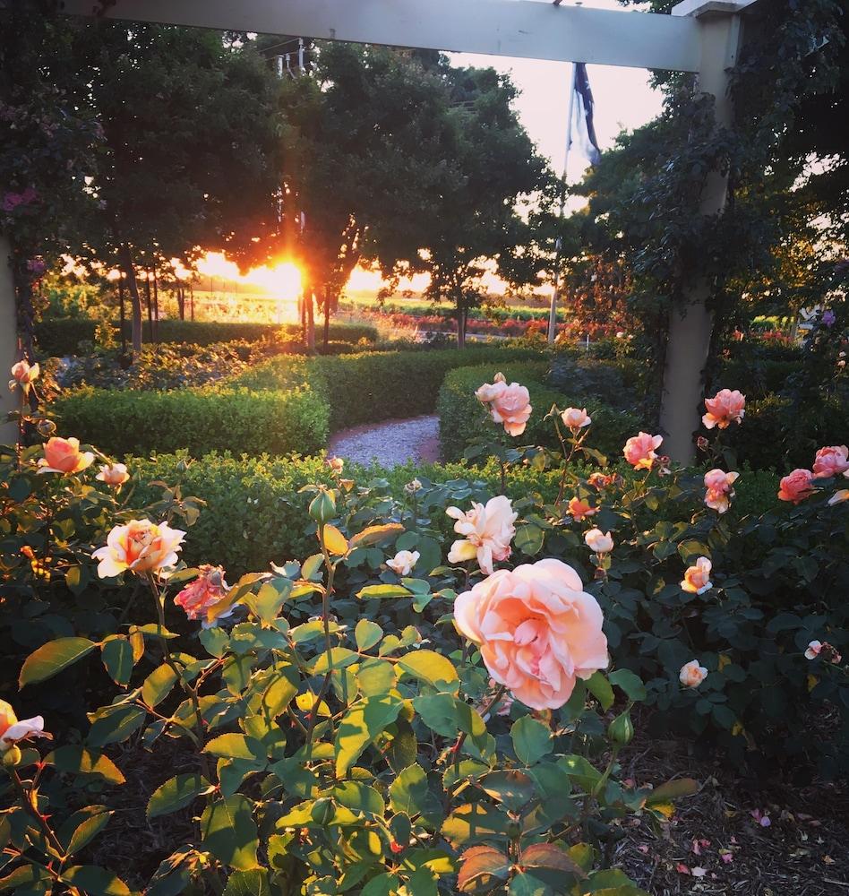 Barossa House Bed and Breakfast