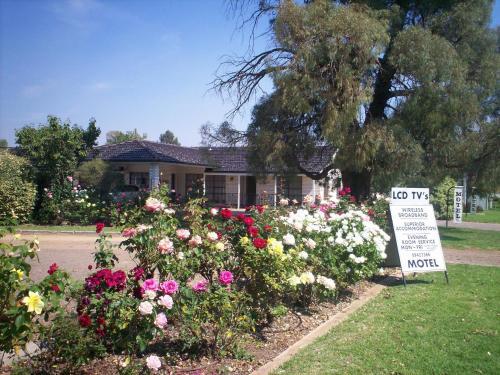 Southern Comfort Motor Inn