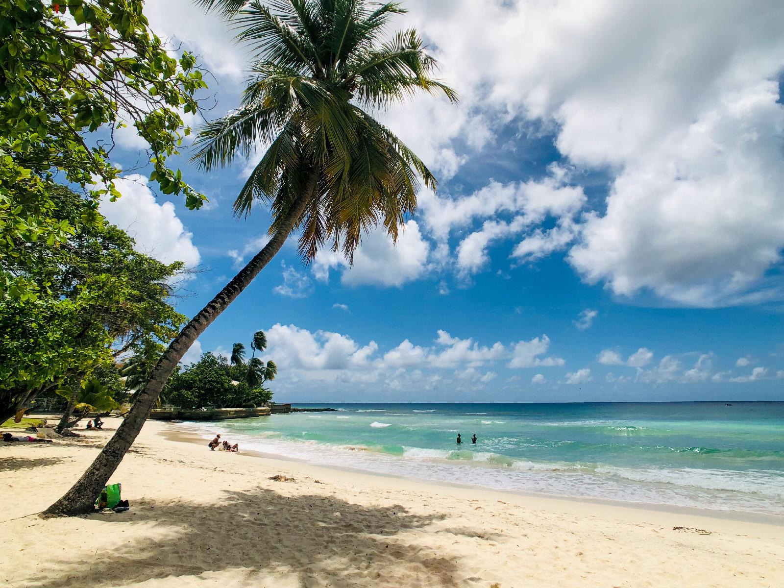 Carib Blue Apartments