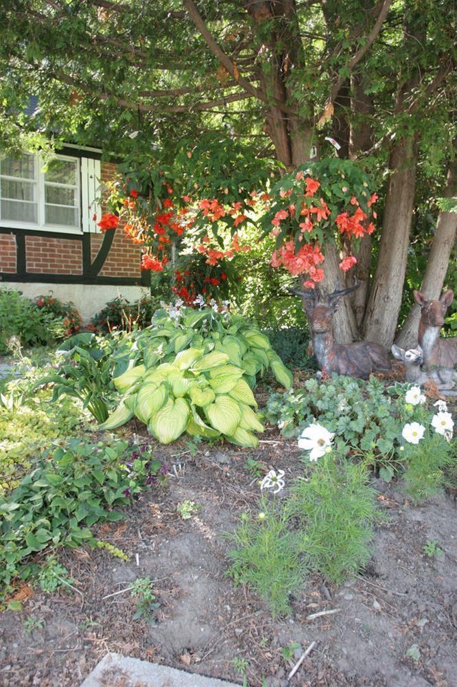 Burleys Gardens and Suite