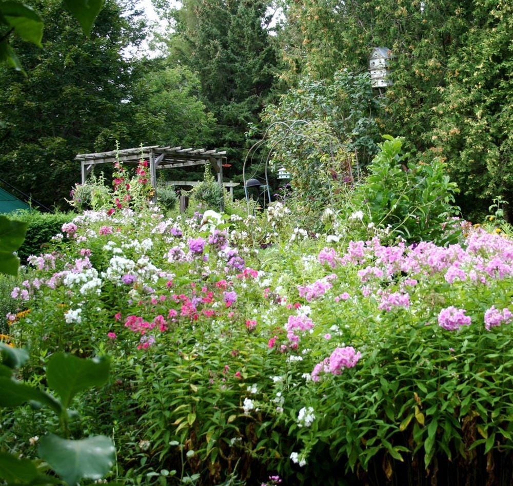 Burleys Gardens and Suite