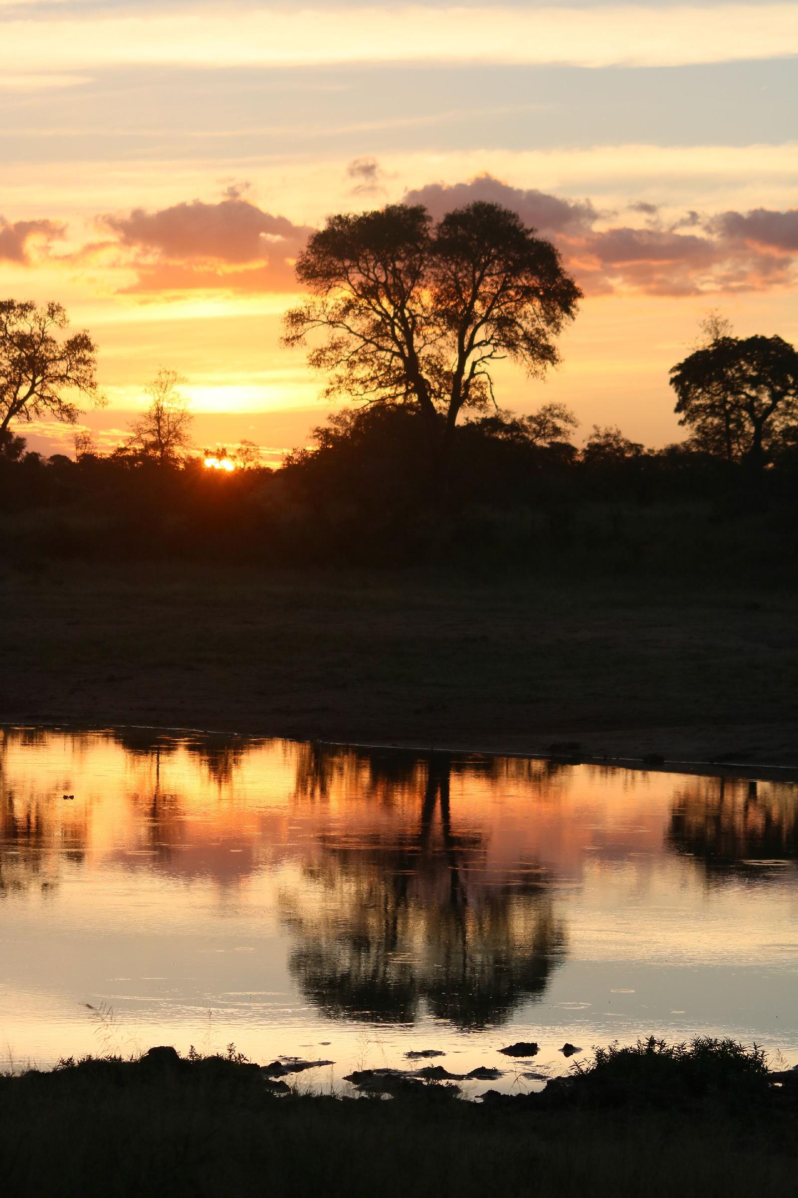 Plains Camp @ Rhino Walking Safaris