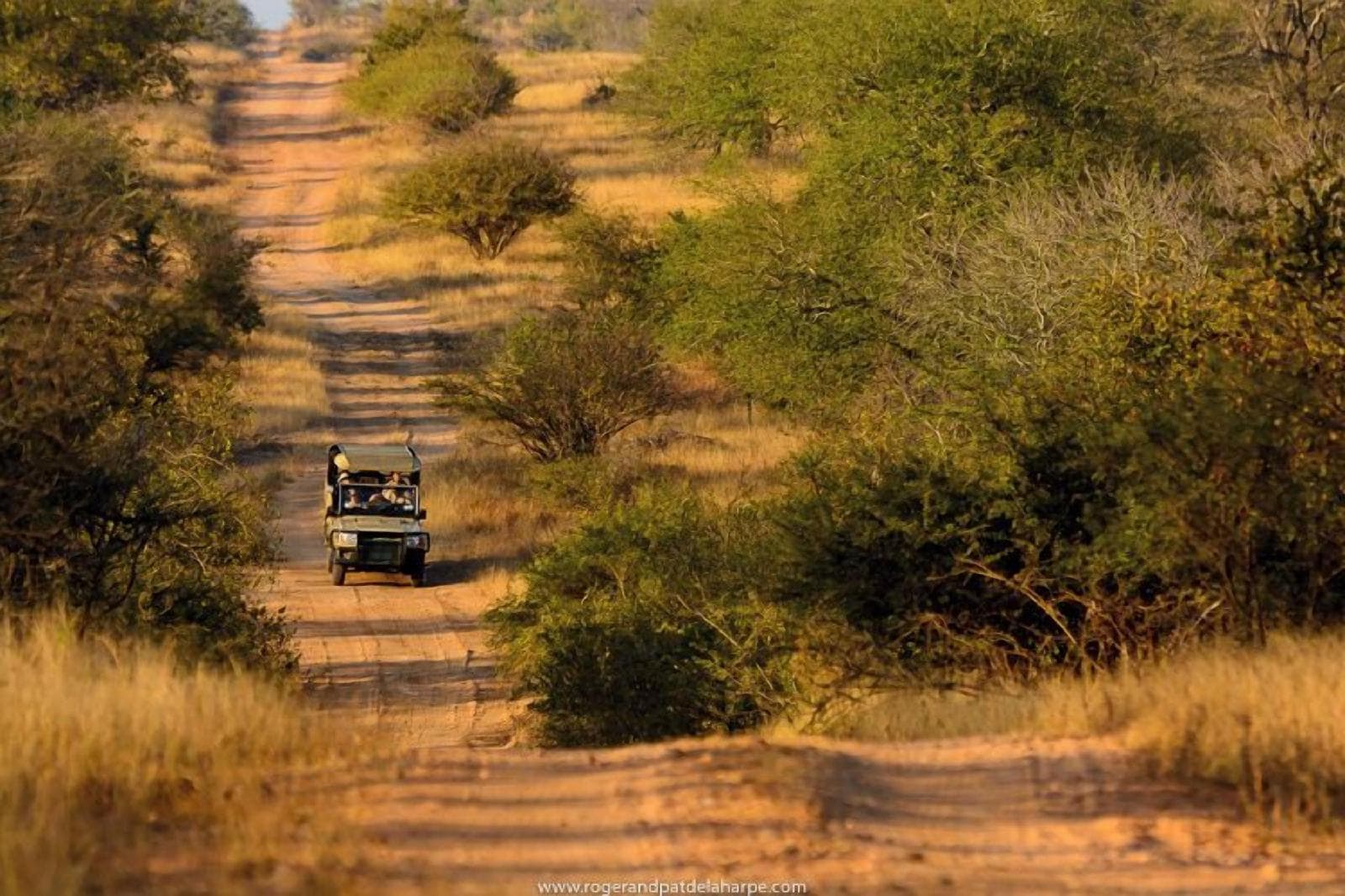 Plains Camp @ Rhino Walking Safaris