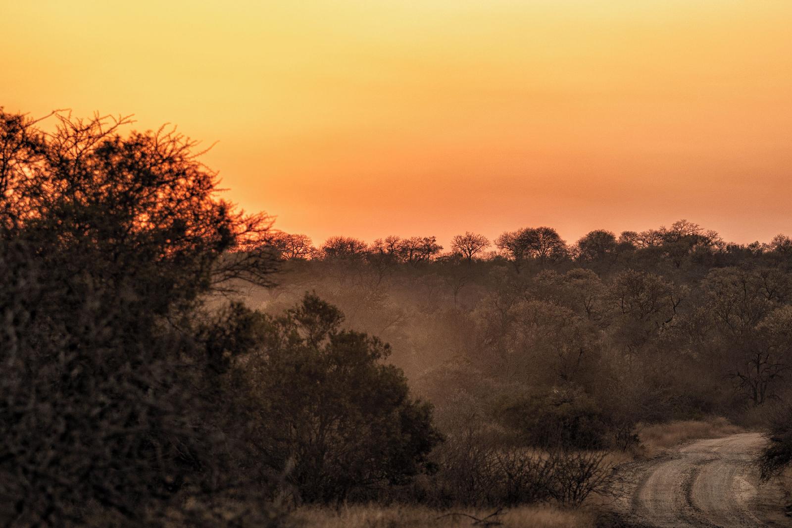 Plains Camp @ Rhino Walking Safaris