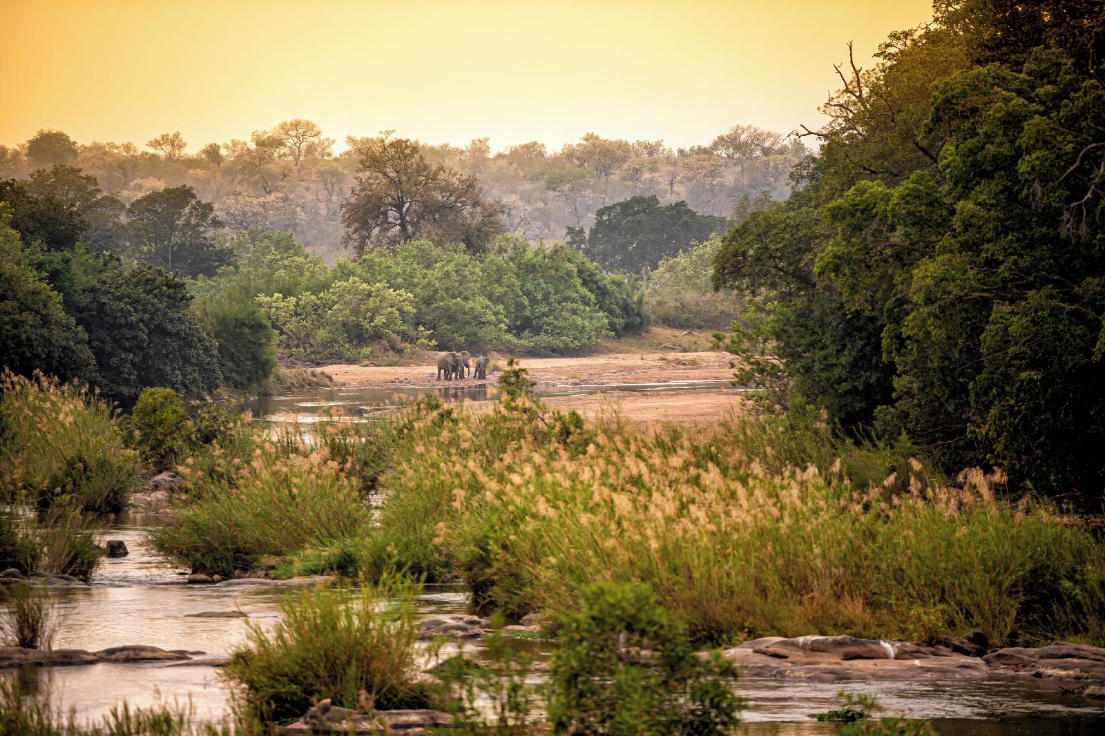 Plains Camp @ Rhino Walking Safaris