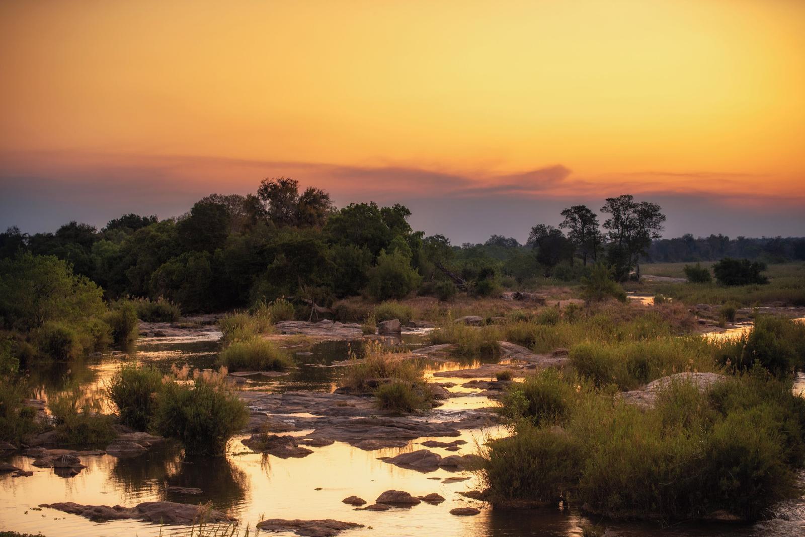 Plains Camp @ Rhino Walking Safaris